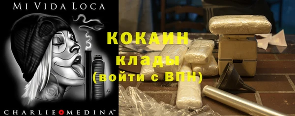 сатива Ростов