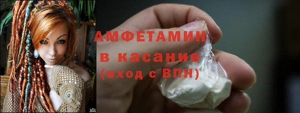 гидра Абаза