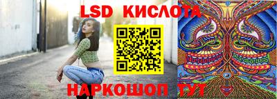 шишки Ставрополь