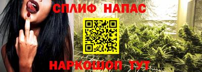 шишки Ставрополь